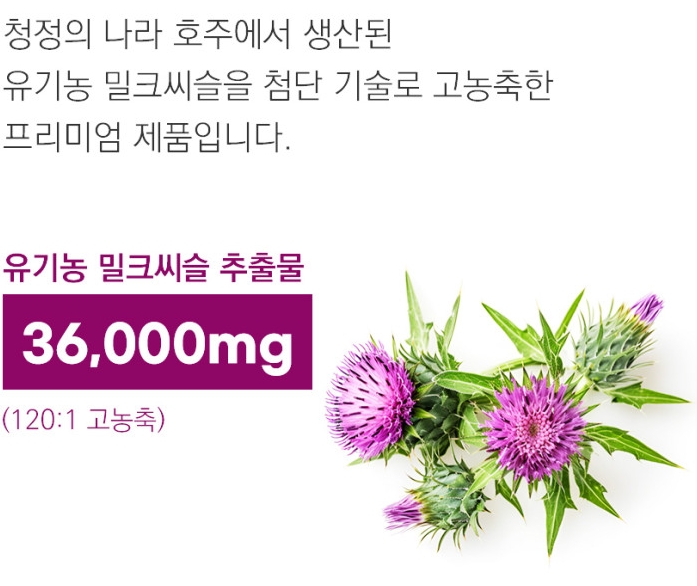 2+1 호주 닥터코알라 유기농 밀크씨슬 실리마린 글루타치온 리버케어 90캡슐 - 상세 이미지 4