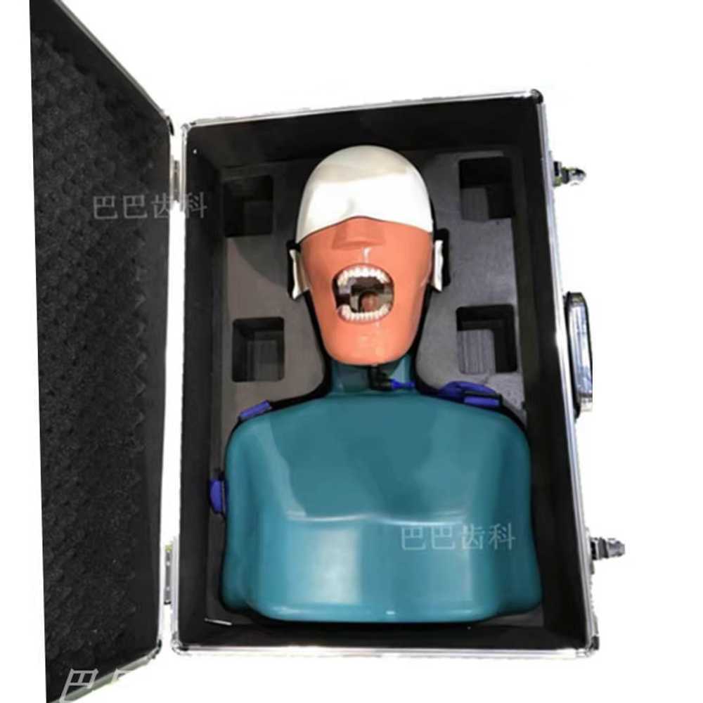 치과 마네킹 치의학 실습용 턱 모형 교육 훈련 인형 단일상품 - 상품 이미지