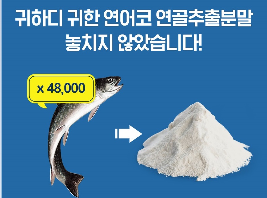 연어코연골 추출물 철갑상어 콘드로이친 600mg 60정 3개 이미지 7