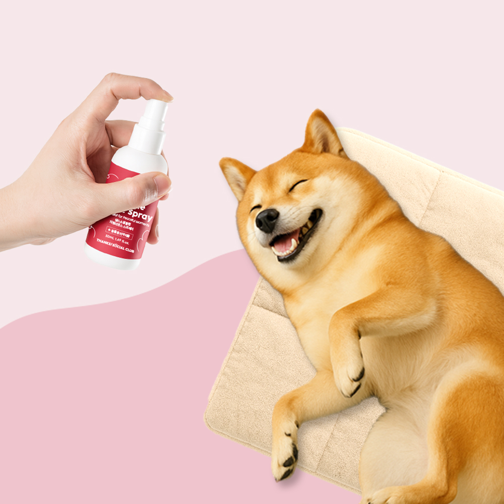 지렁이댄스 스프레이 강아지 분리불안 훈련 노즈워크 스트레스해소 강아지운동 50ml, 1개