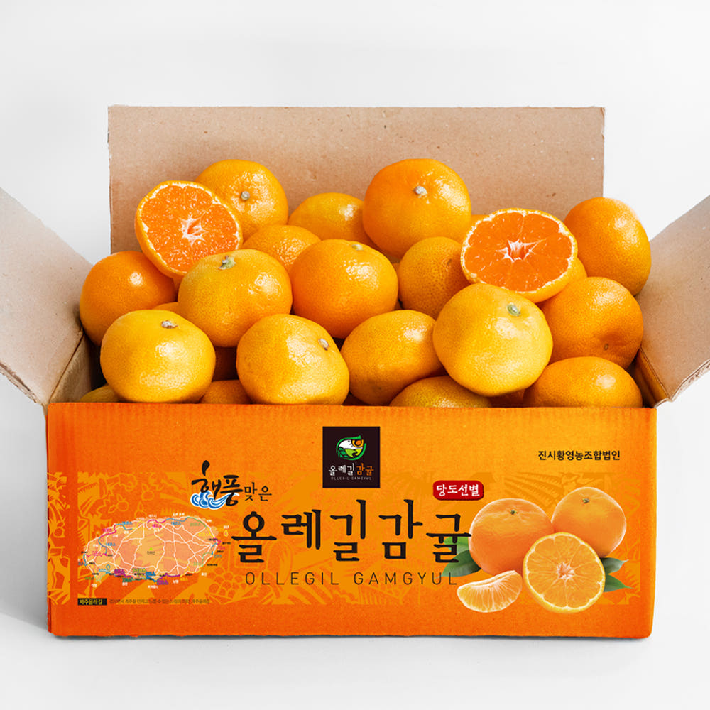 올레길감귤 소과 5kg