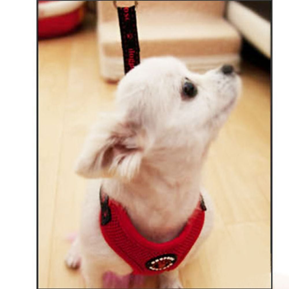 도그포즈 에어매쉬 하네스 세트 (레드) S - 상품 이미지