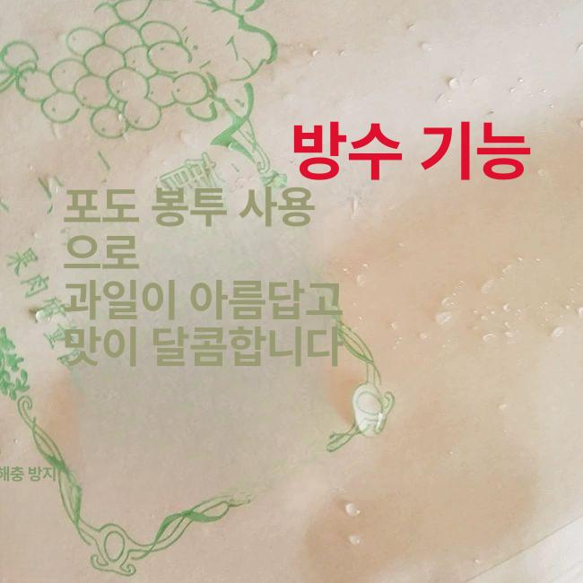포도 봉투 포장지 방충 완충제 곤충쫓기 과일 대량 포장 과수원 거봉 주머니 19x26cm 세트 0.5근 포도 - 상세 이미지 2
