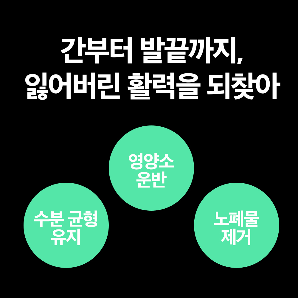 고함량 마시는 알부민 효능 실크 알부민 30포, 6개 이미지 7