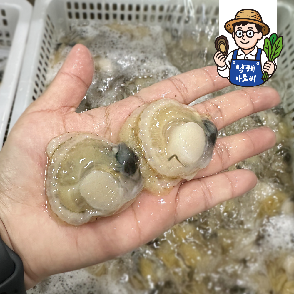 홍가리비 수압으로 깐 속살 가리비 세척 가리비살 홍가리비 제철 요리 캠핑 500g 1kg - 상세 이미지 5