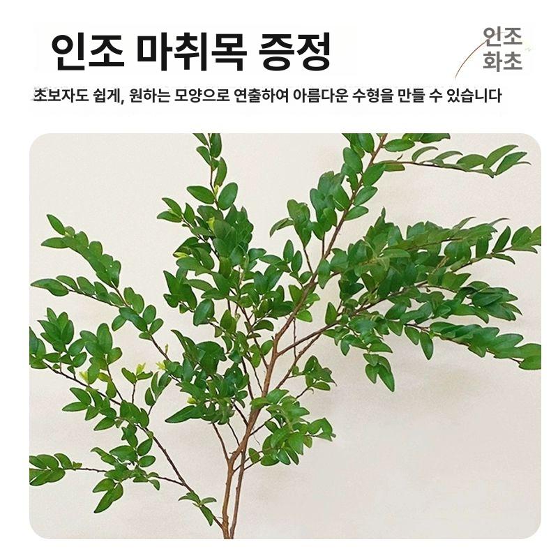 인테리어 조명 액자 집들이선물 미니간판 포스터 벽장식 개업선물 캔버스 벽화 현관 섀도우 그린 11- B 샌드스톤 70x130cm - 상세 이미지 4