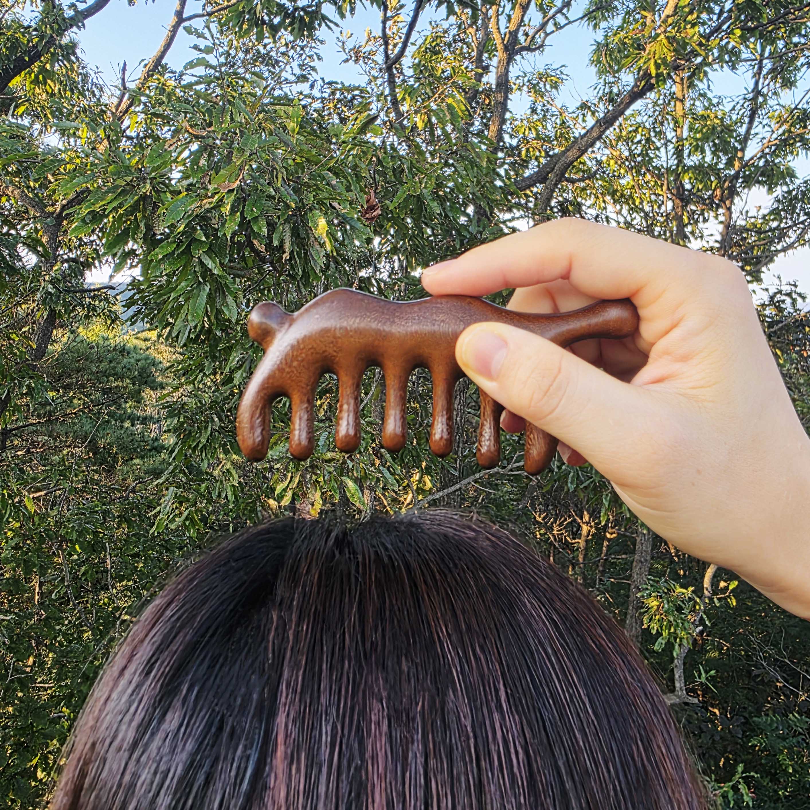 시골감성마켓 트리플 나무 두피 괄사 얼굴 지압 마사지 빗 - 상세 이미지 4