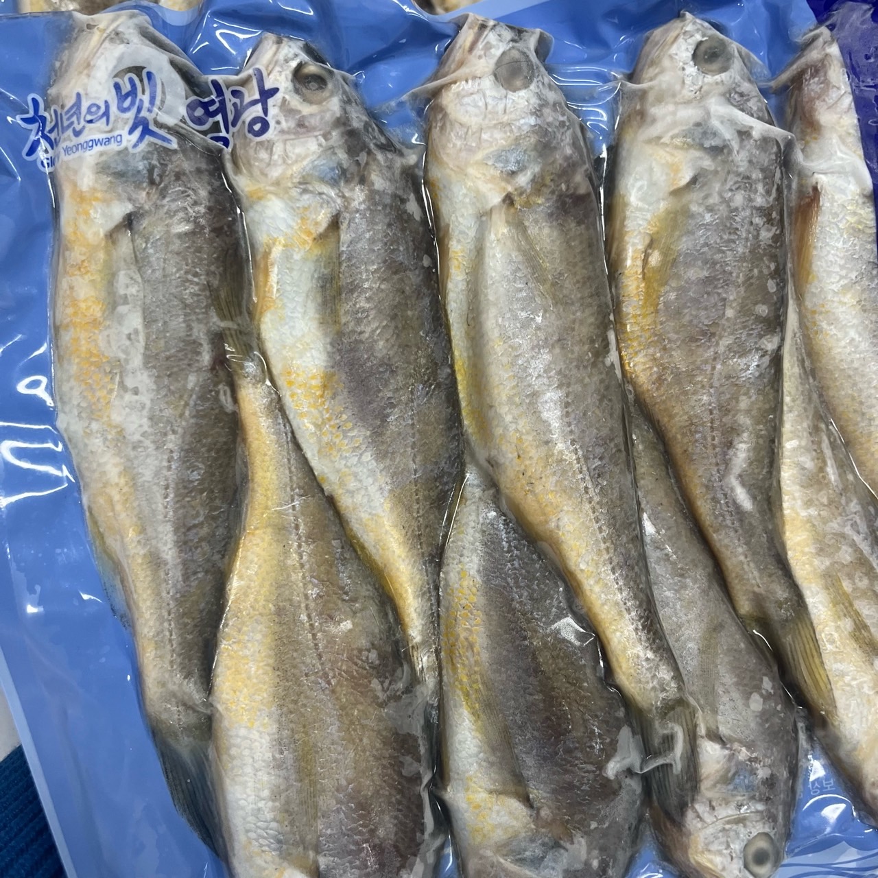 [영광직송] 실속형 국산 영광 굴비 1.3kg 20미 명절 선물세트 진공포장 가정용 - 상세 이미지 3