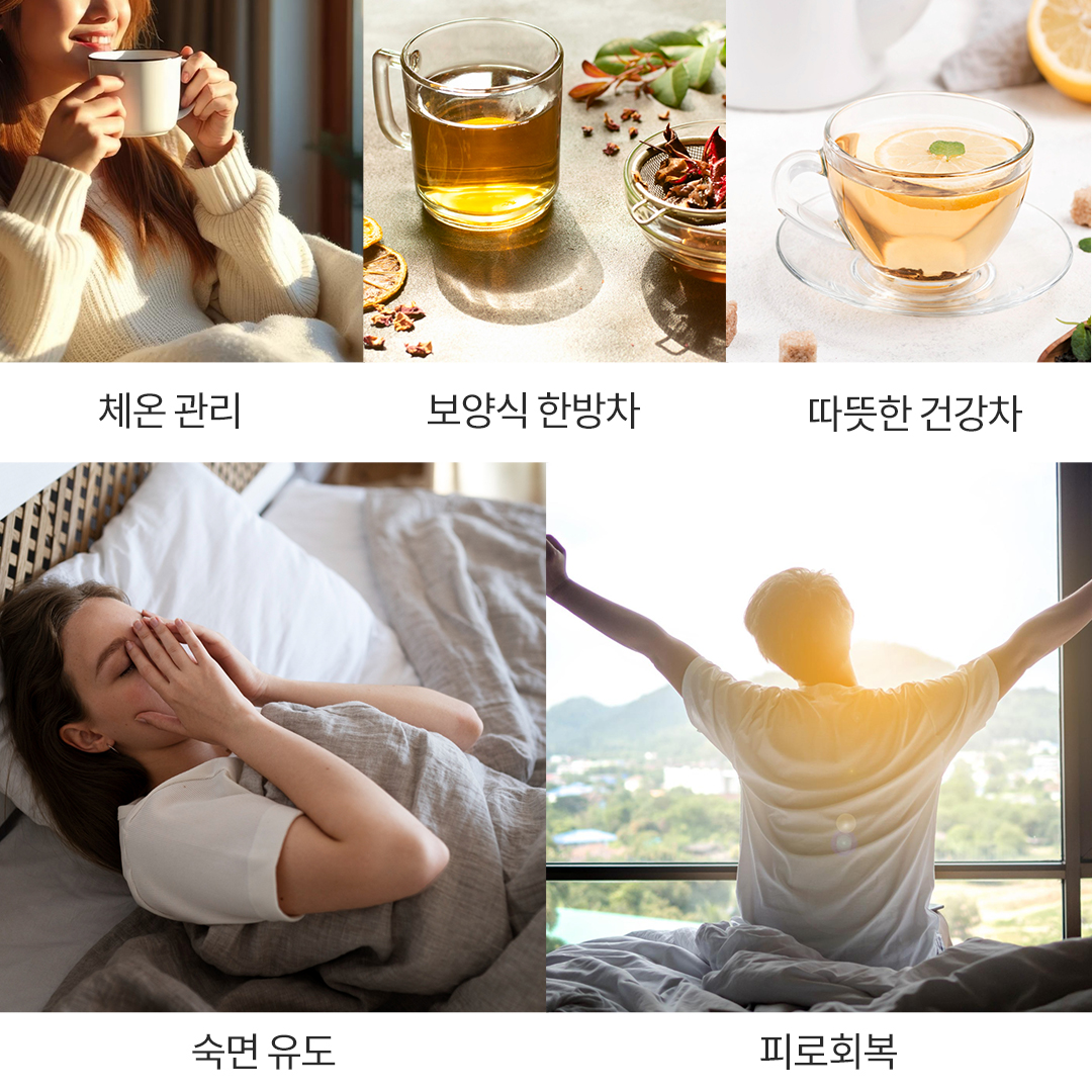 오쿠 건강드림 글라스 달임 포트 2.2리터 약탕기 OCC-DP2200