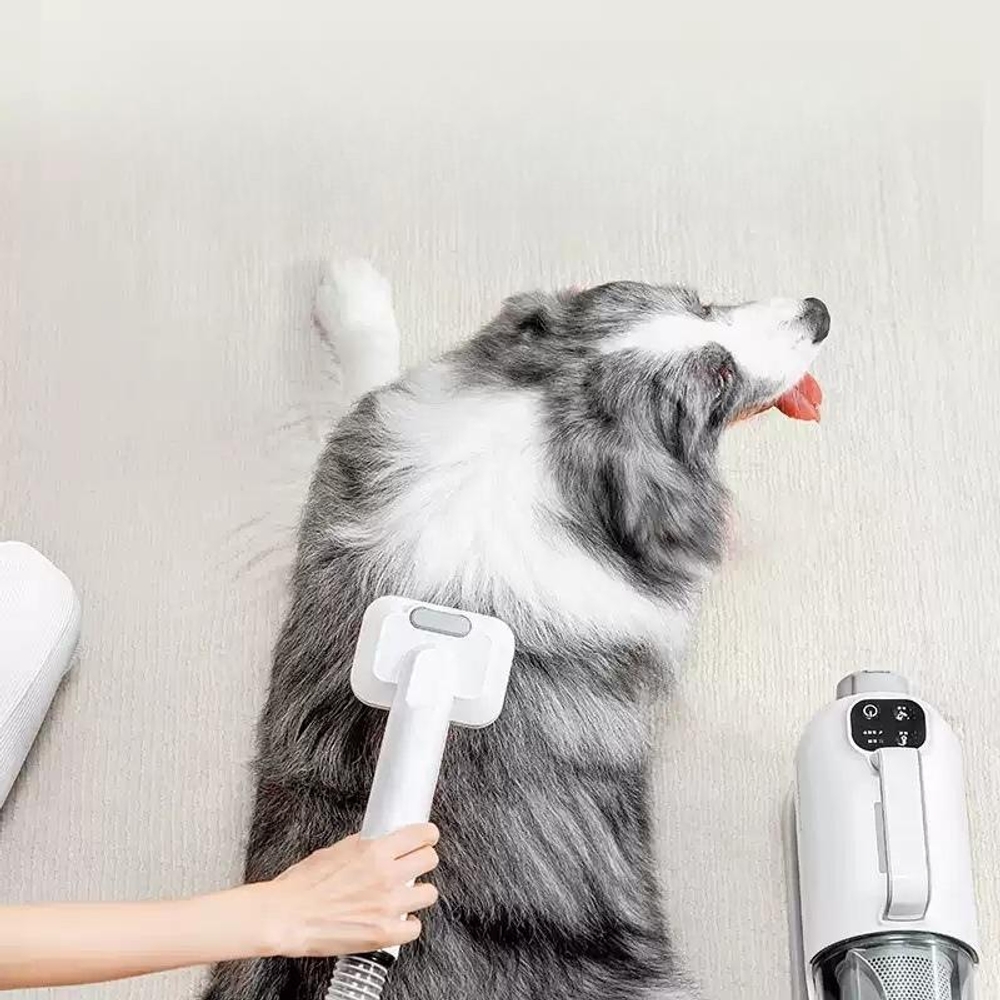 업소용 애견 강아지 고양이 드라이기 펫 에어탱크 건조기 털말리기 - 상세 이미지 2