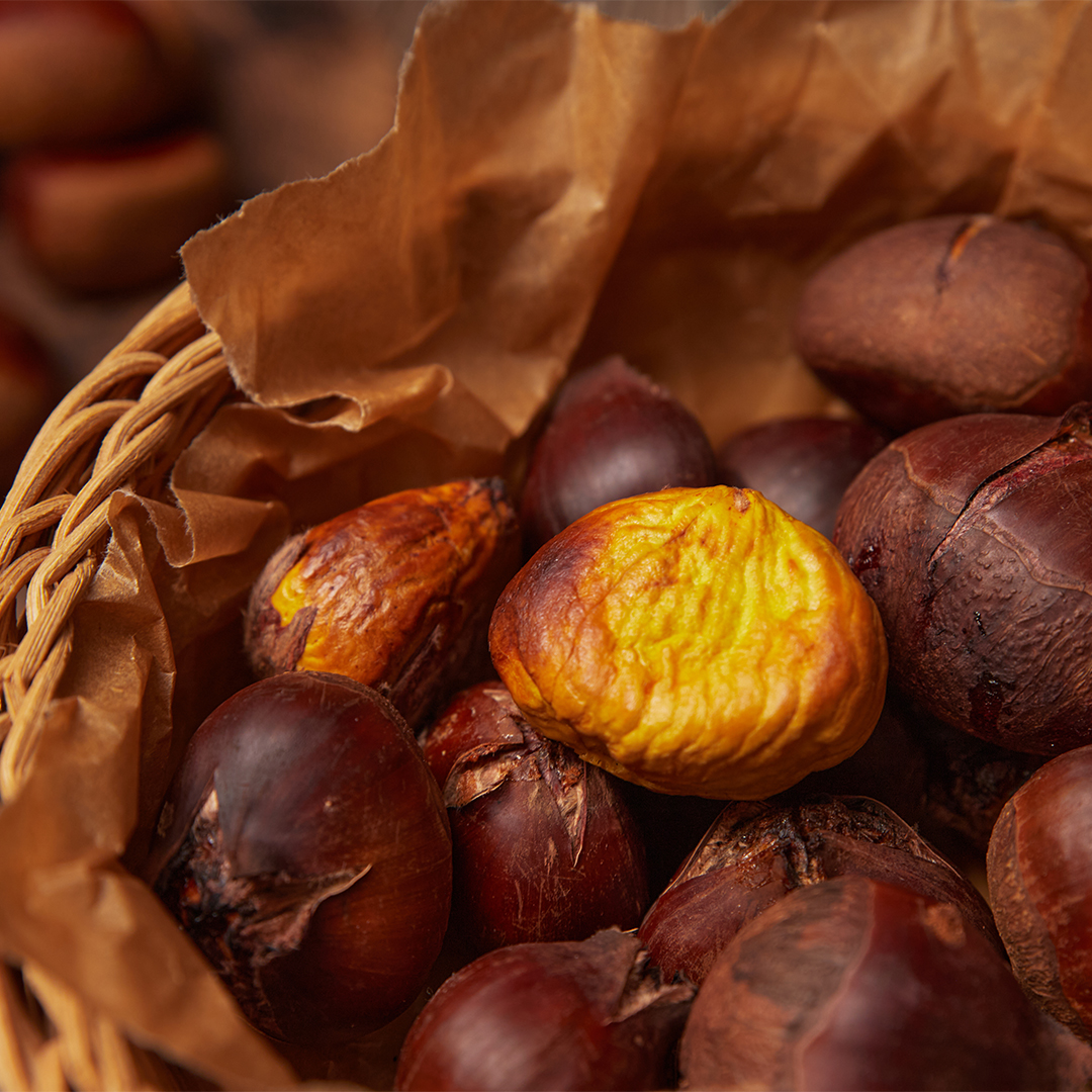 25년 햇밤 공주밤 공주 부여 밤 알밤 2kg 대표 이미지