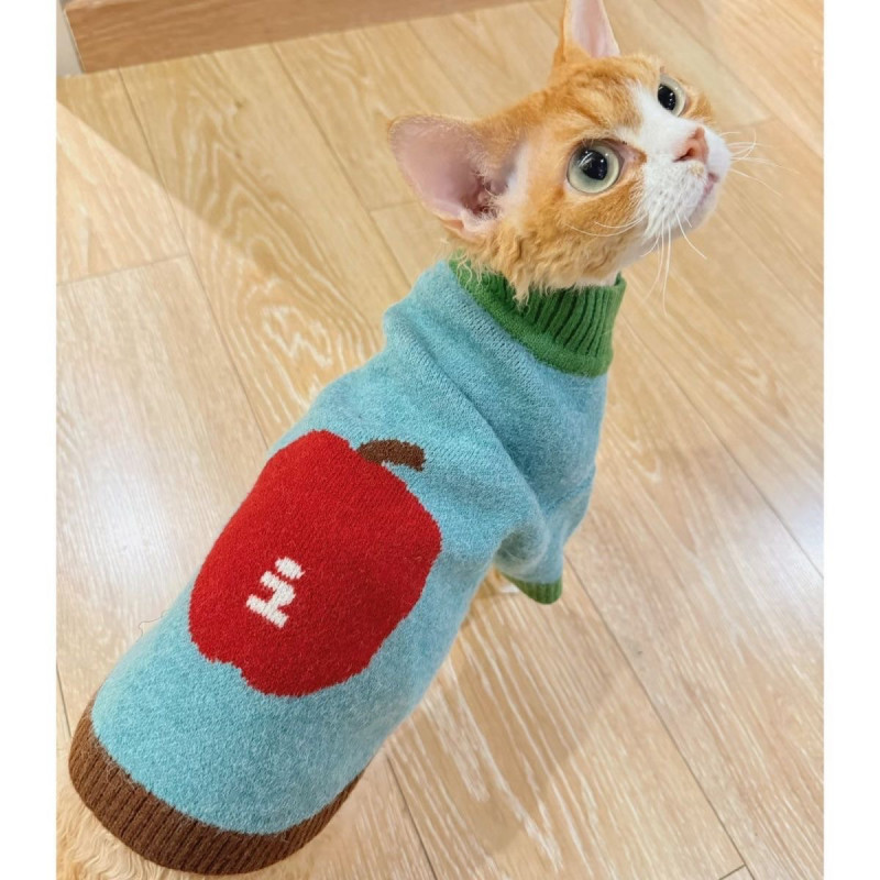고양이 가을 겨울 니트 스웨터 귀여운 반려동물 옷 따뜻한 실내복 - 메인 이미지