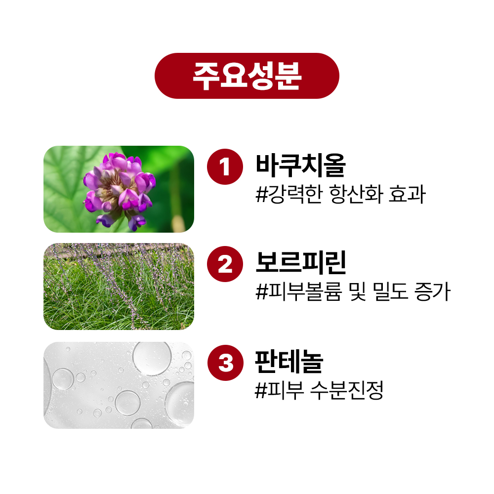 [바액] 바쿠치올 크림 [30ml] 바쿠치올 30,000ppm 보르피린 50,000ppm 식물성레티놀 슬로우에이징 주름탄력 피부볼륨 안티링클