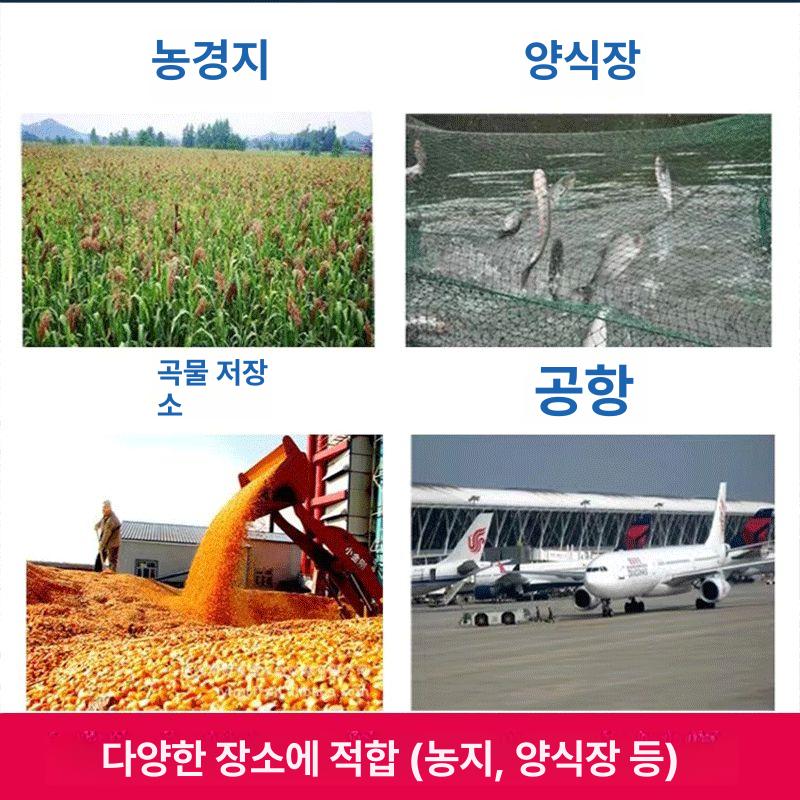 블루베리새망 조류망 조류방지망 식물그물망 방조 식물 방조망 텃밭 농작물 새그물 3mx50m 2.0메쉬 - 상세 이미지 3