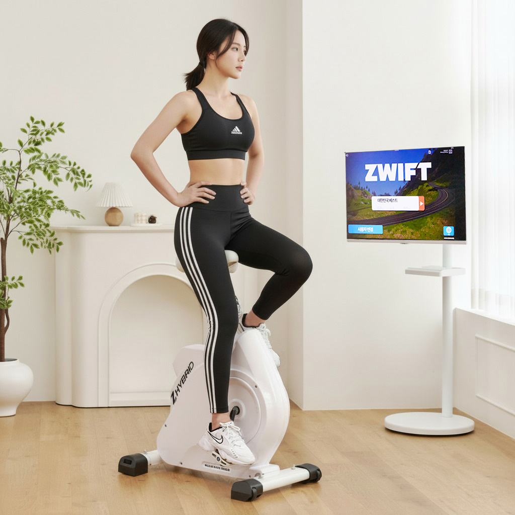 은성헬스빌 지브리드 Zhybrid 실내자전거 사이클 미니 바이크 입식 좌식 하이브리드 - 상품 이미지