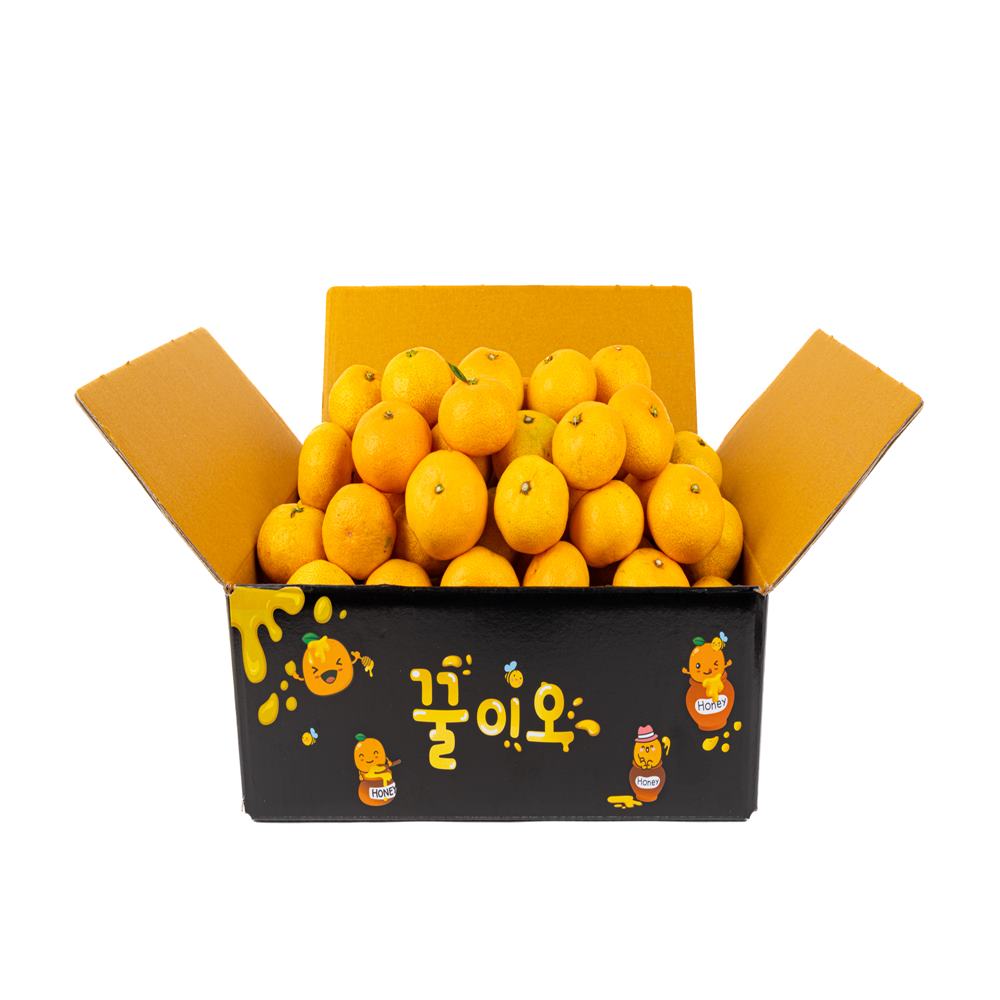 비가림 하우스 노지감귤 타이벡 제주 서귀포 감귤 카라향 못난이 5kg 10kg 3kg - 메인 이미지