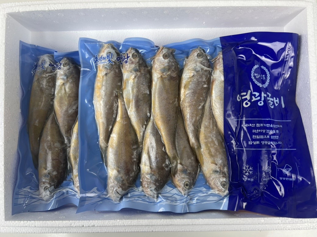 [영광직송] 실속형 국산 영광 굴비 1.3kg 20미 명절 선물세트 진공포장 가정용 - 상세 이미지 4