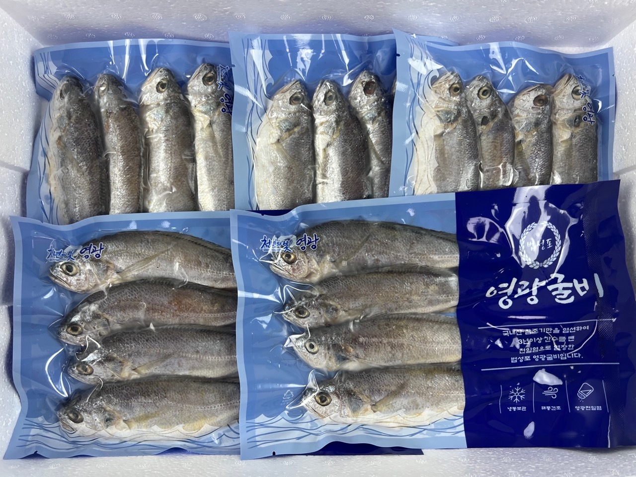 [수협수매] 국내산 영광 굴비 1.55kg 20미 명절 선물세트 진공포장 참조기 참굴비 - 상세 이미지 4