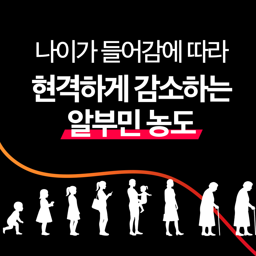 고함량 마시는 알부민 효능 실크 알부민 30포, 6개 이미지 6