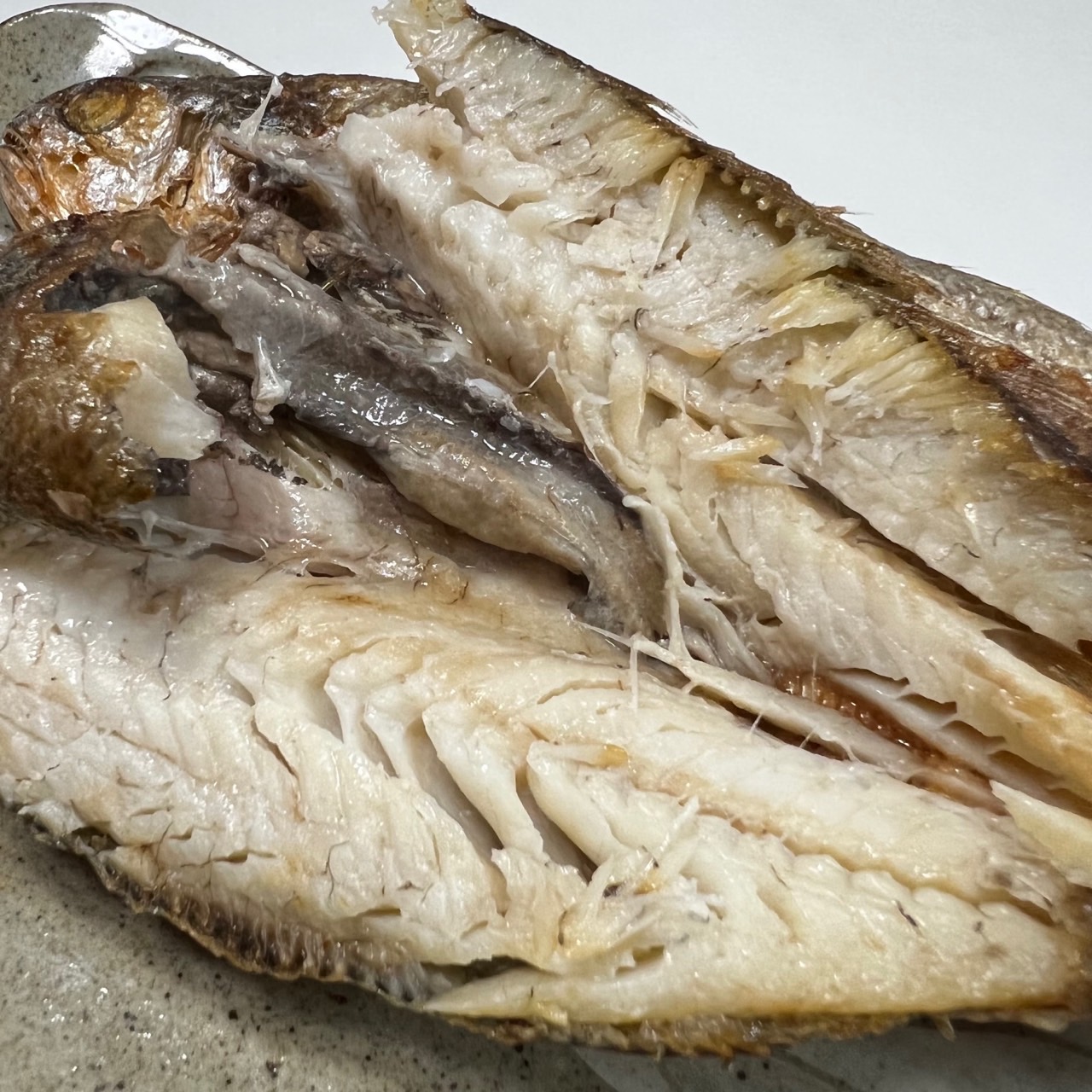 [수협수매] 국내산 영광 굴비 1.55kg 20미 명절 선물세트 진공포장 참조기 참굴비 - 상세 이미지 2