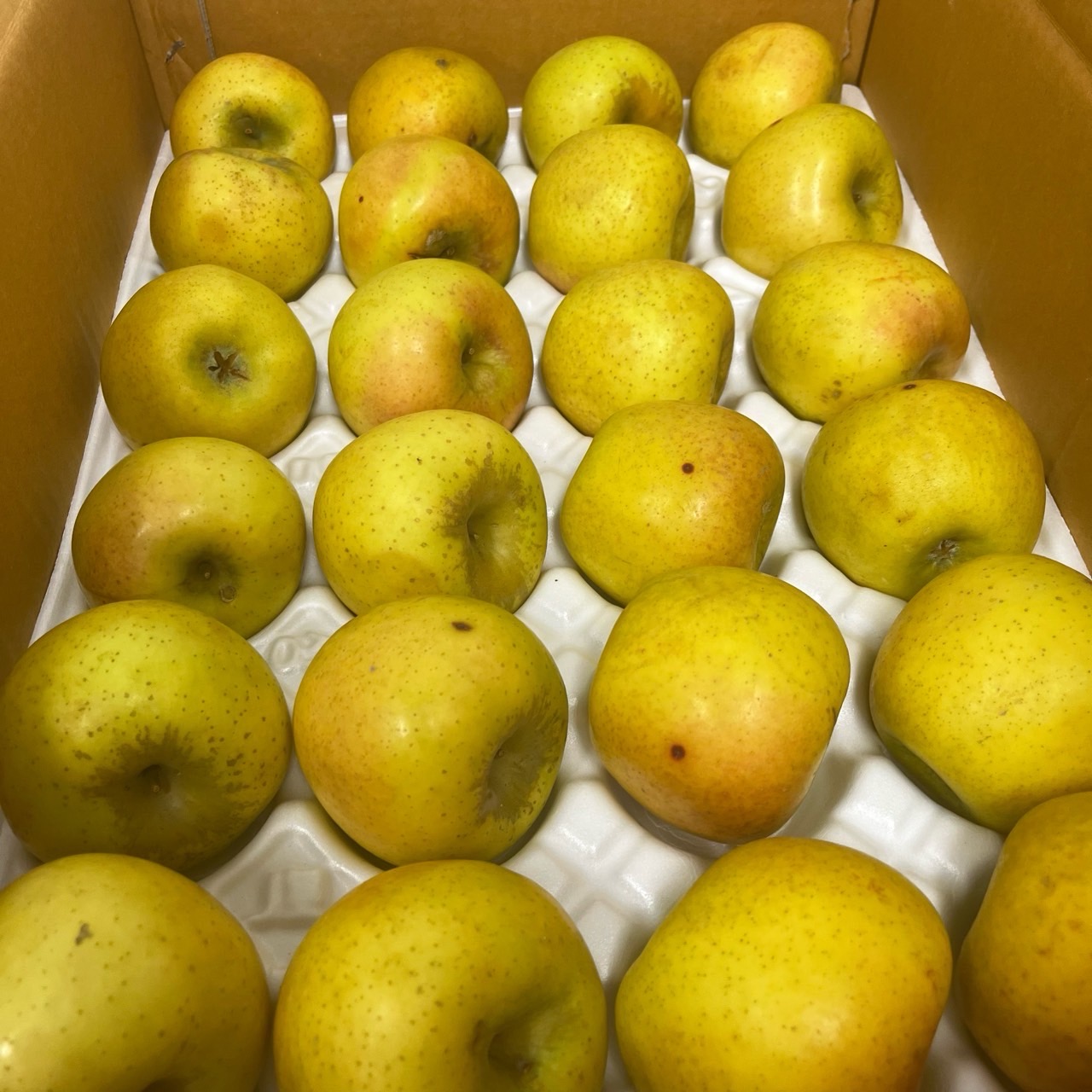 국산 시나노골드 황금사과 2kg 4kg 고당도 영주 사과 가정용 - 상세 이미지 5