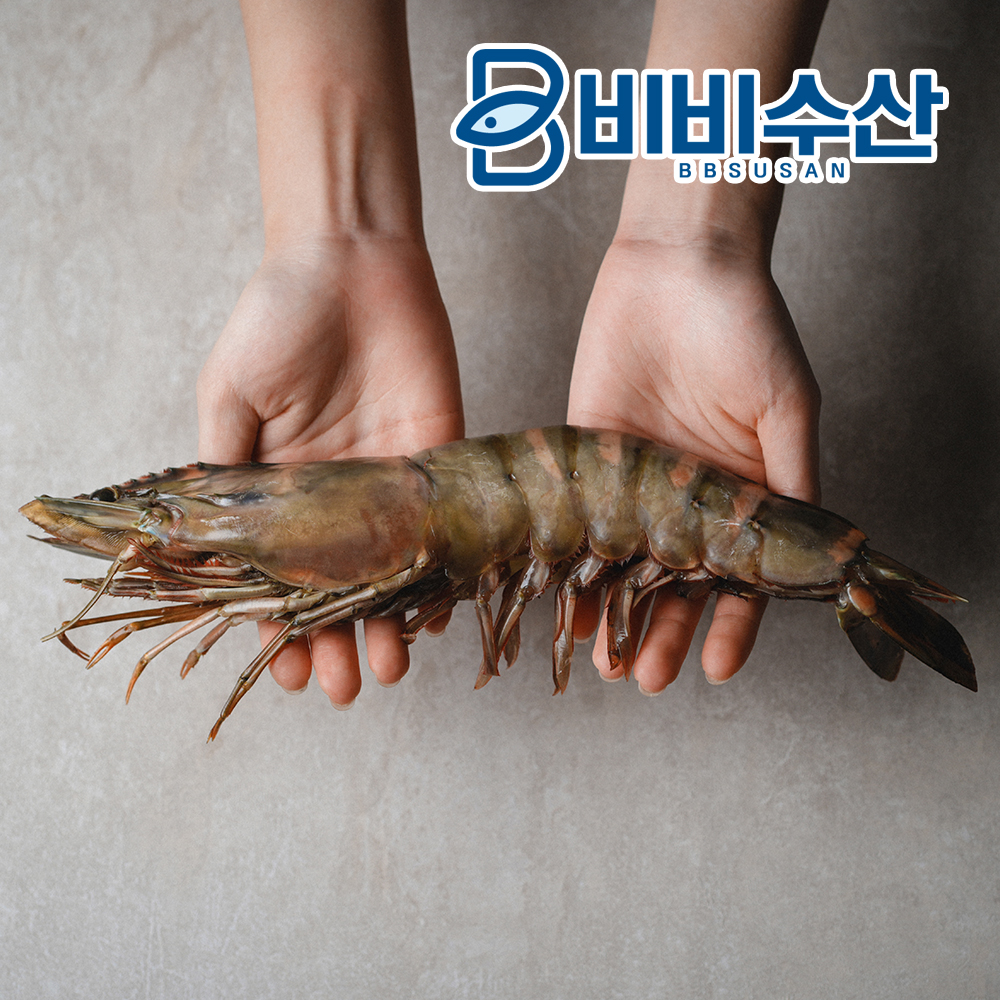 자연산 블랙타이거새우 2미 킹타이거새우 캠핑용 왕새우 - 상품 이미지