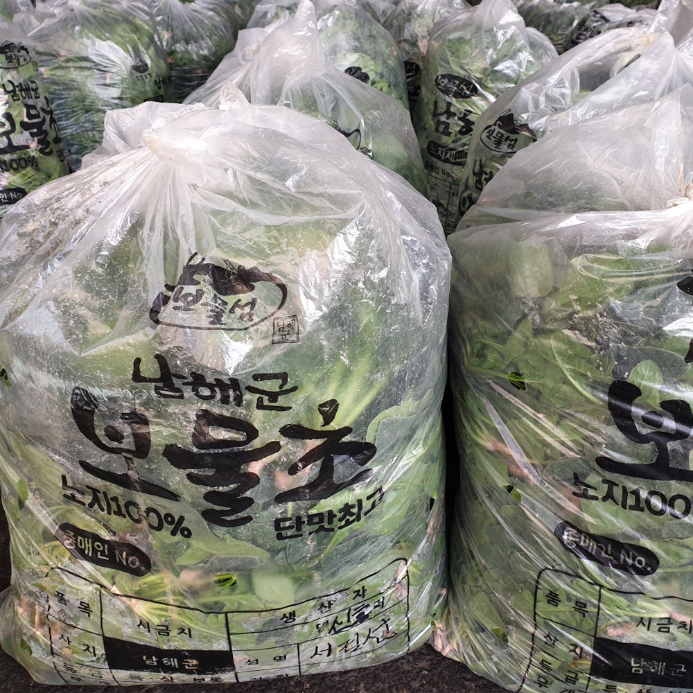 경북 포항 영해초 시금치 달고 부드러운 생시금치 산지직송 300g - 상세 이미지 5