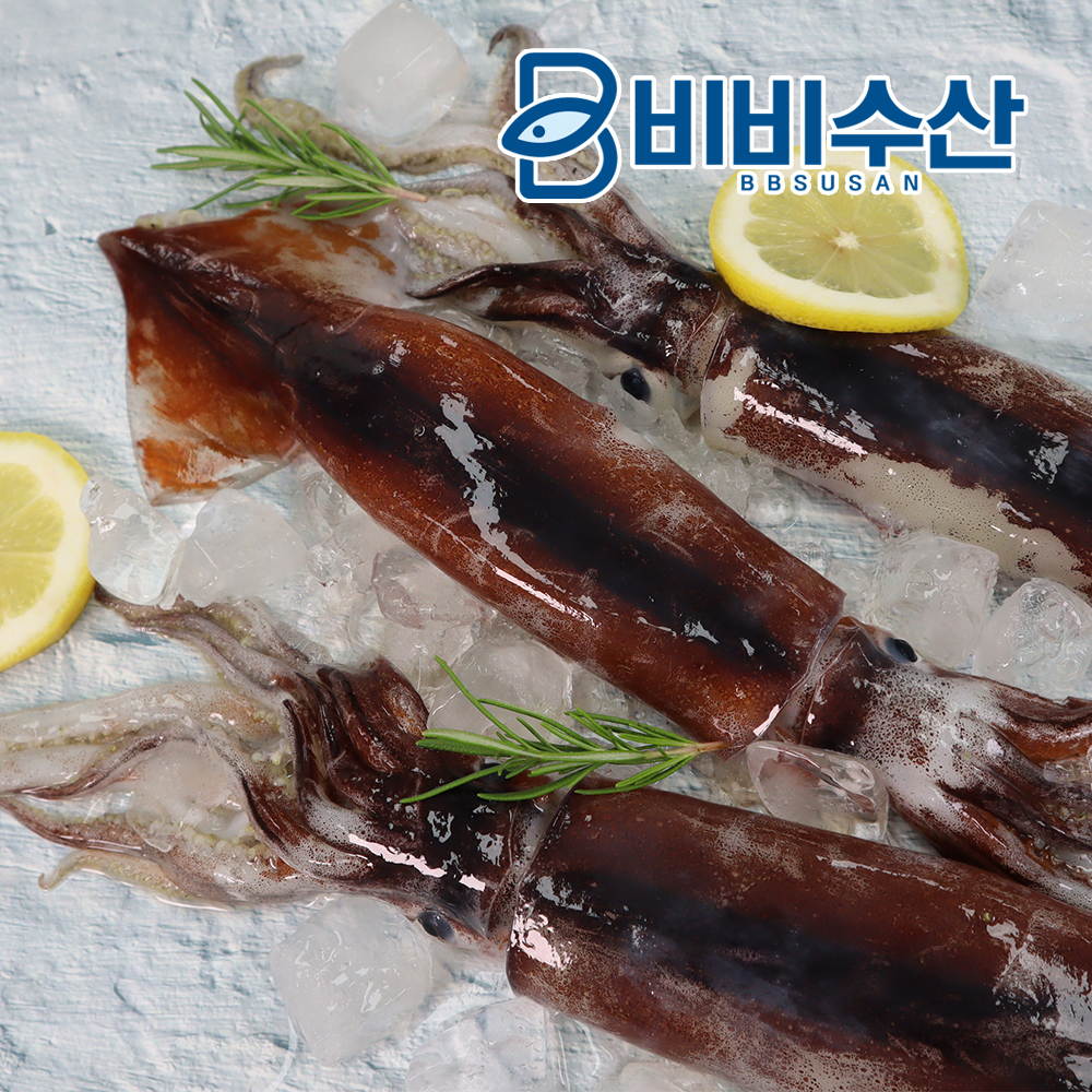 비비수산 살아있을때 깔끔하게 손질한 통오징어 - 상세 이미지 5