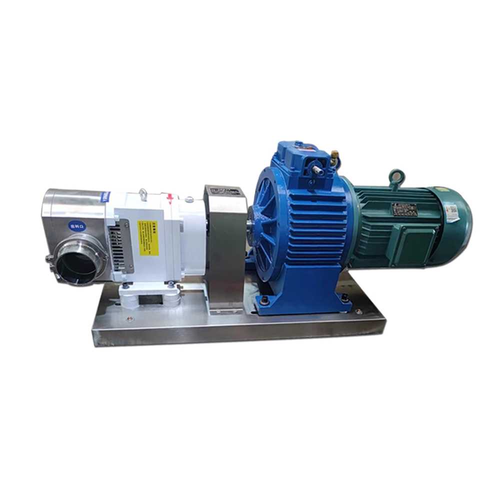 고점도 로브 펌프 산업용 식품 액상 이송 정량 펌프 2구 펌프헤드 32구경 1.5KW - 상품 이미지