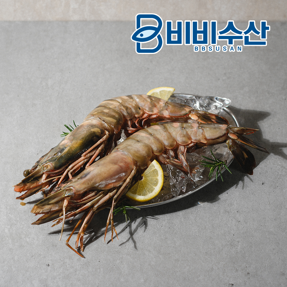 자연산 블랙타이거새우 2미 킹타이거새우 캠핑용 왕새우 - 상세 이미지 3