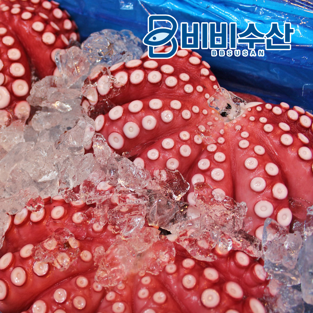 비비수산 자숙 문어 한마리 (냉동) - 상품 이미지