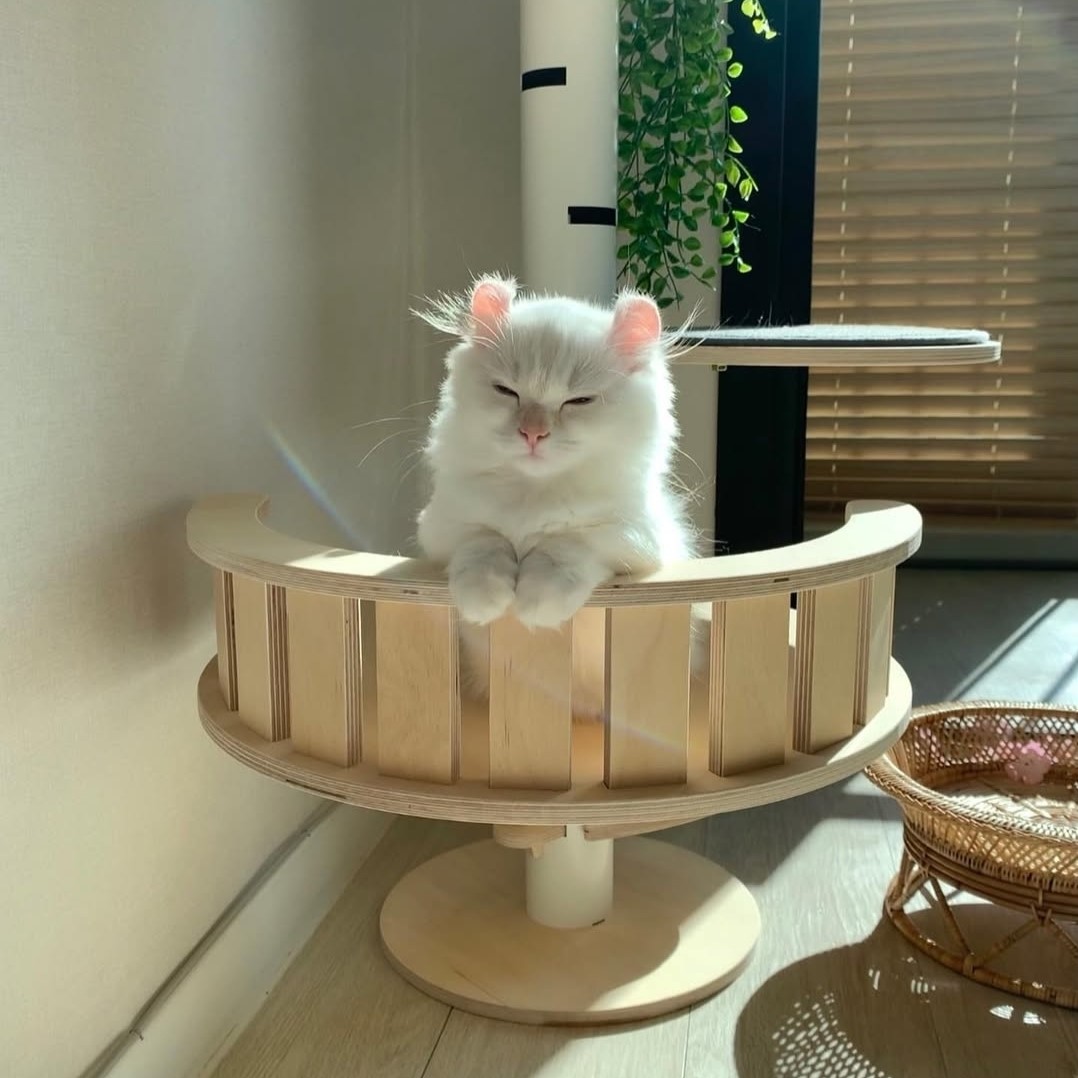 캣돌 고양이 파스텔 스틸 화이트 먼치킨 원목 캣폴 캣타워
