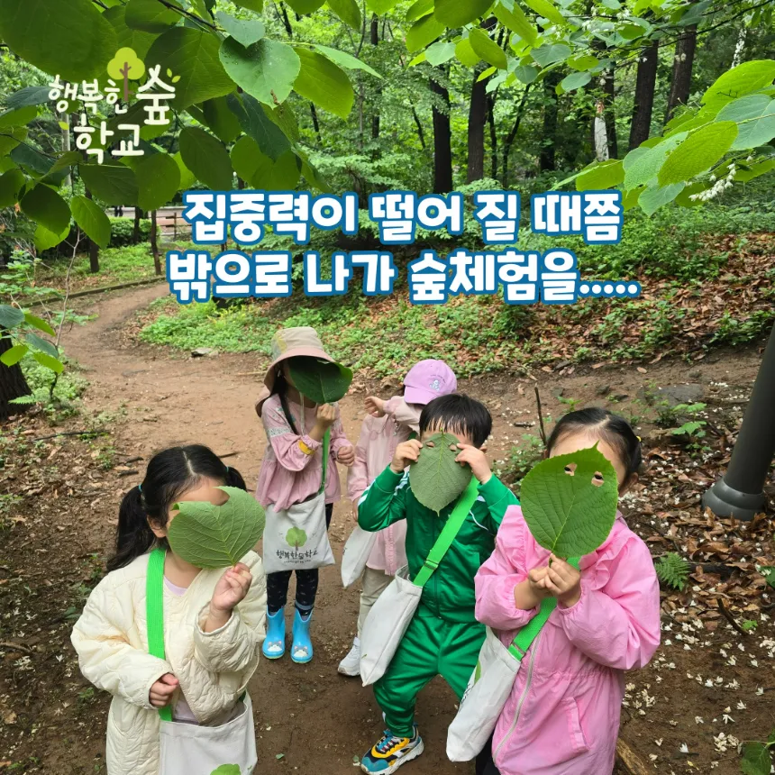 [경복궁] 역사체험과 숲체험을 동시에! by 행복숲 나리샘 - 상세 이미지 4