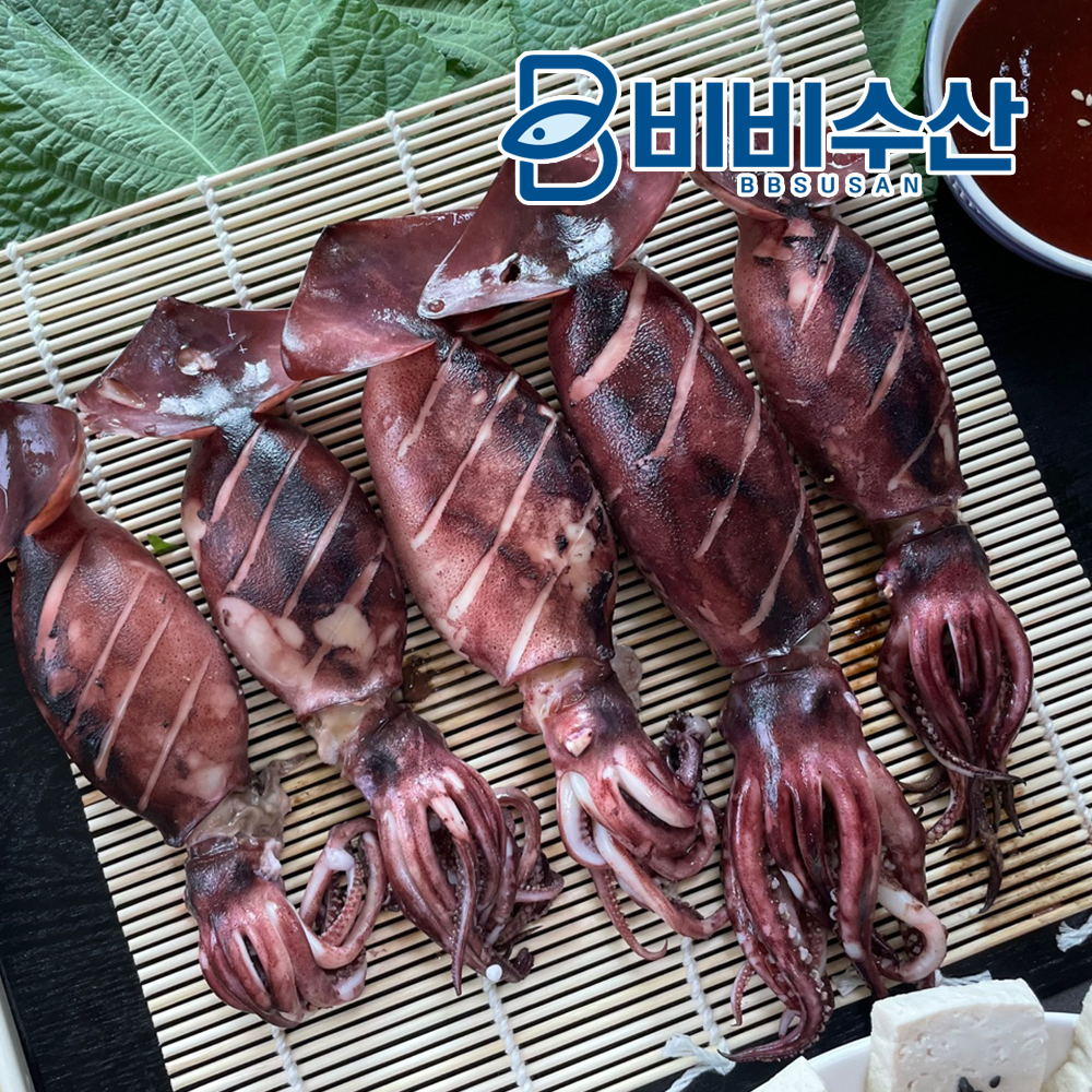 자연산 오징어 통오징어 손질법 오징어 고르는법 오징어 활용법 자연산 해산물