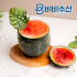 수박 샤베트 4개 (드라이 2개 포함) 업소용 도매용 수박샤베트 맛있게 먹은 솔직 후기 썸네일