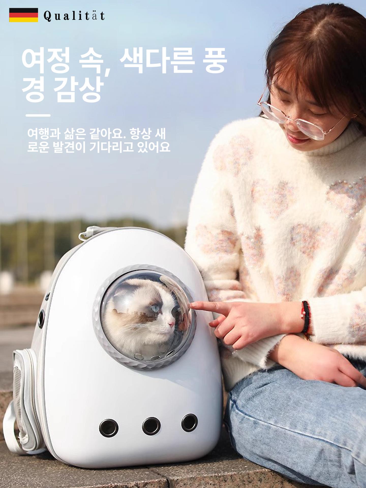고양이 강아지 항공 백팩 휴대용 이동 가방 항공 캐리어 1번 걸이형 A 표준 - 상세 이미지 3