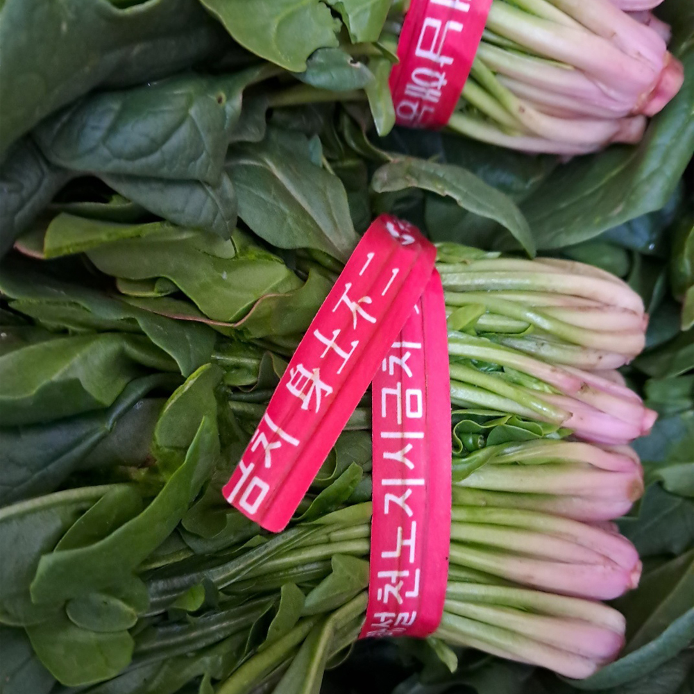 경북 포항 영해초 시금치 달고 부드러운 생시금치 산지직송 300g - 상세 이미지 2