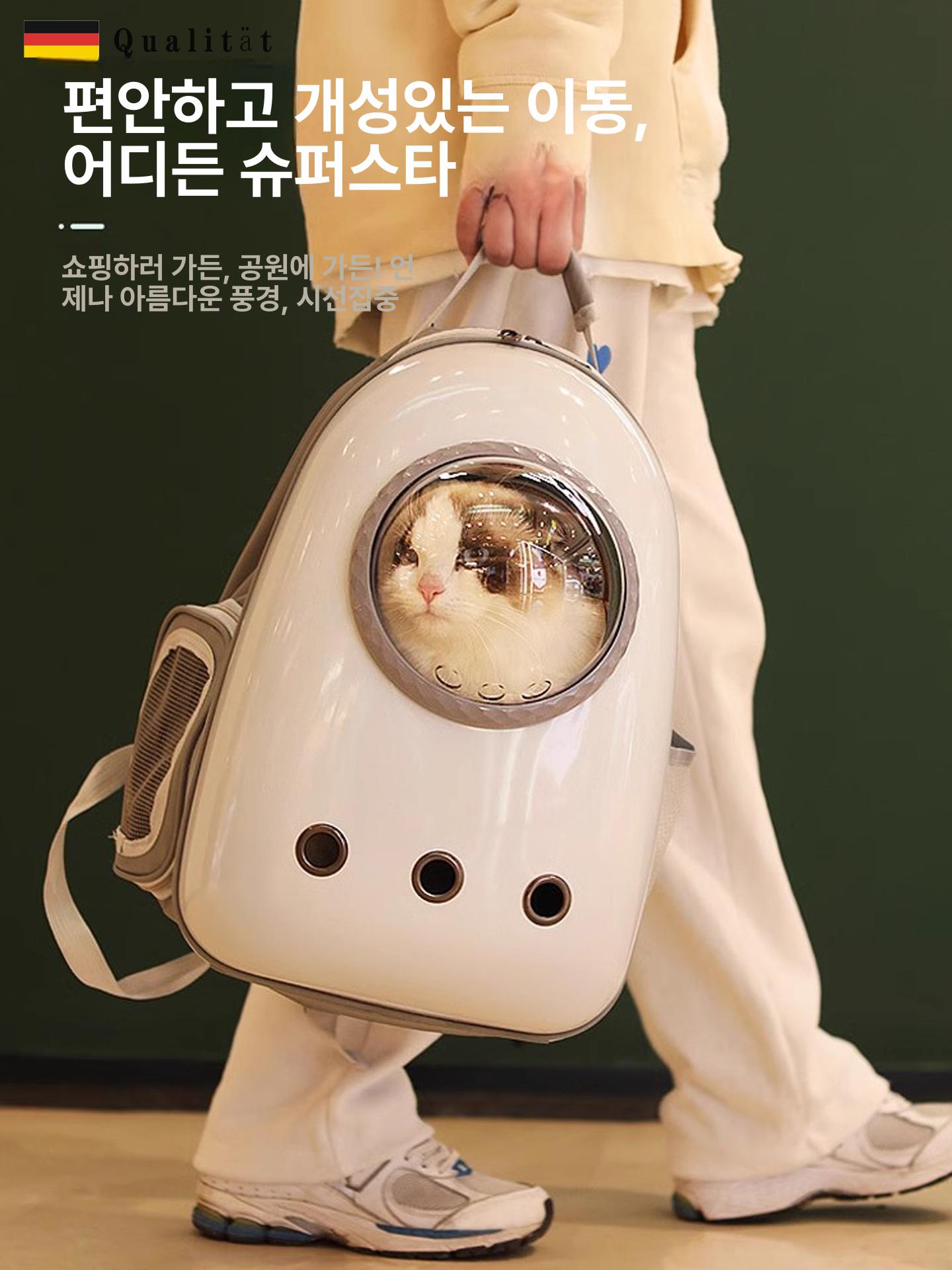 고양이 강아지 항공 백팩 휴대용 이동 가방 항공 캐리어 1번 걸이형 A 표준 - 상세 이미지 2