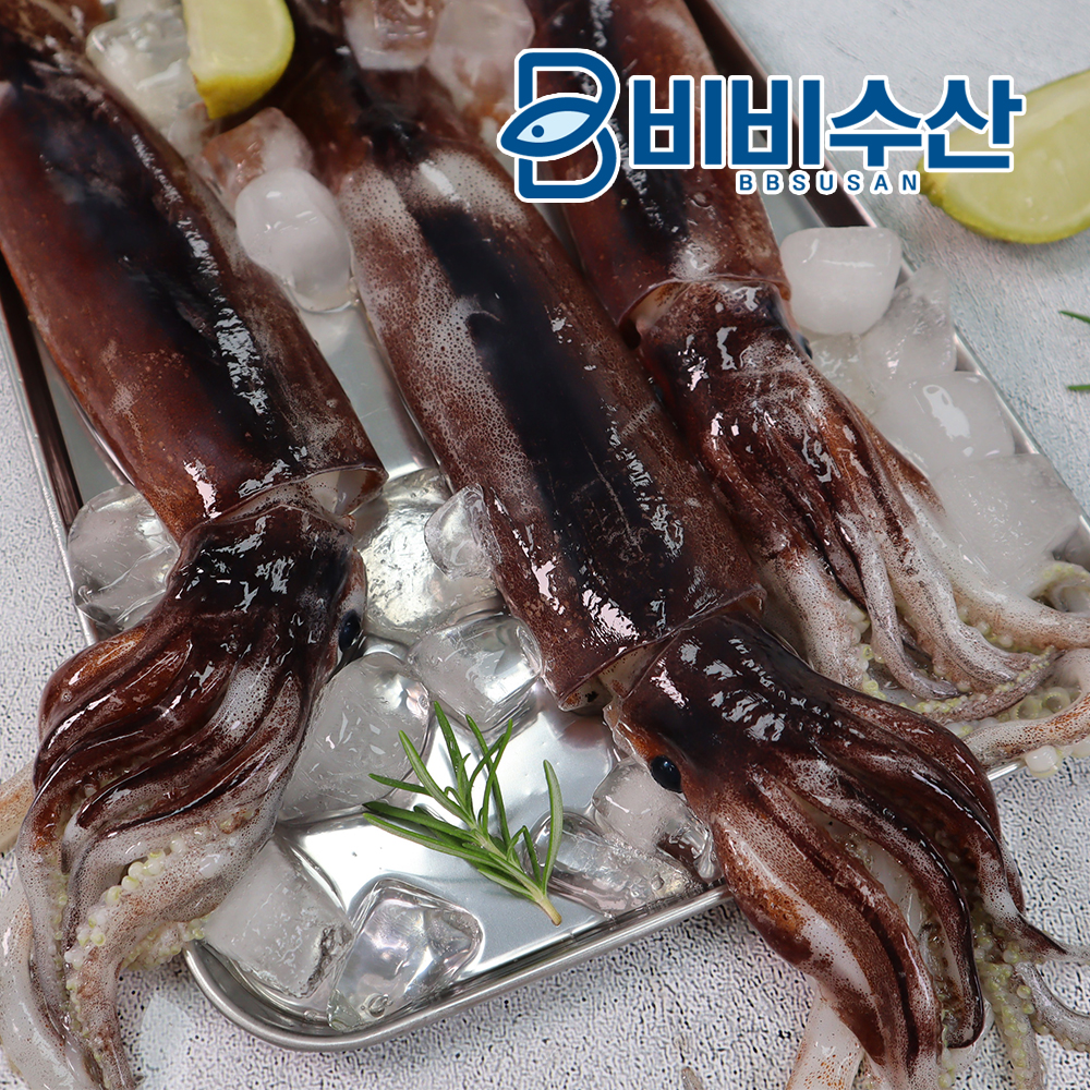 비비수산 살아있을때 깔끔하게 손질한 통오징어 - 상세 이미지 2