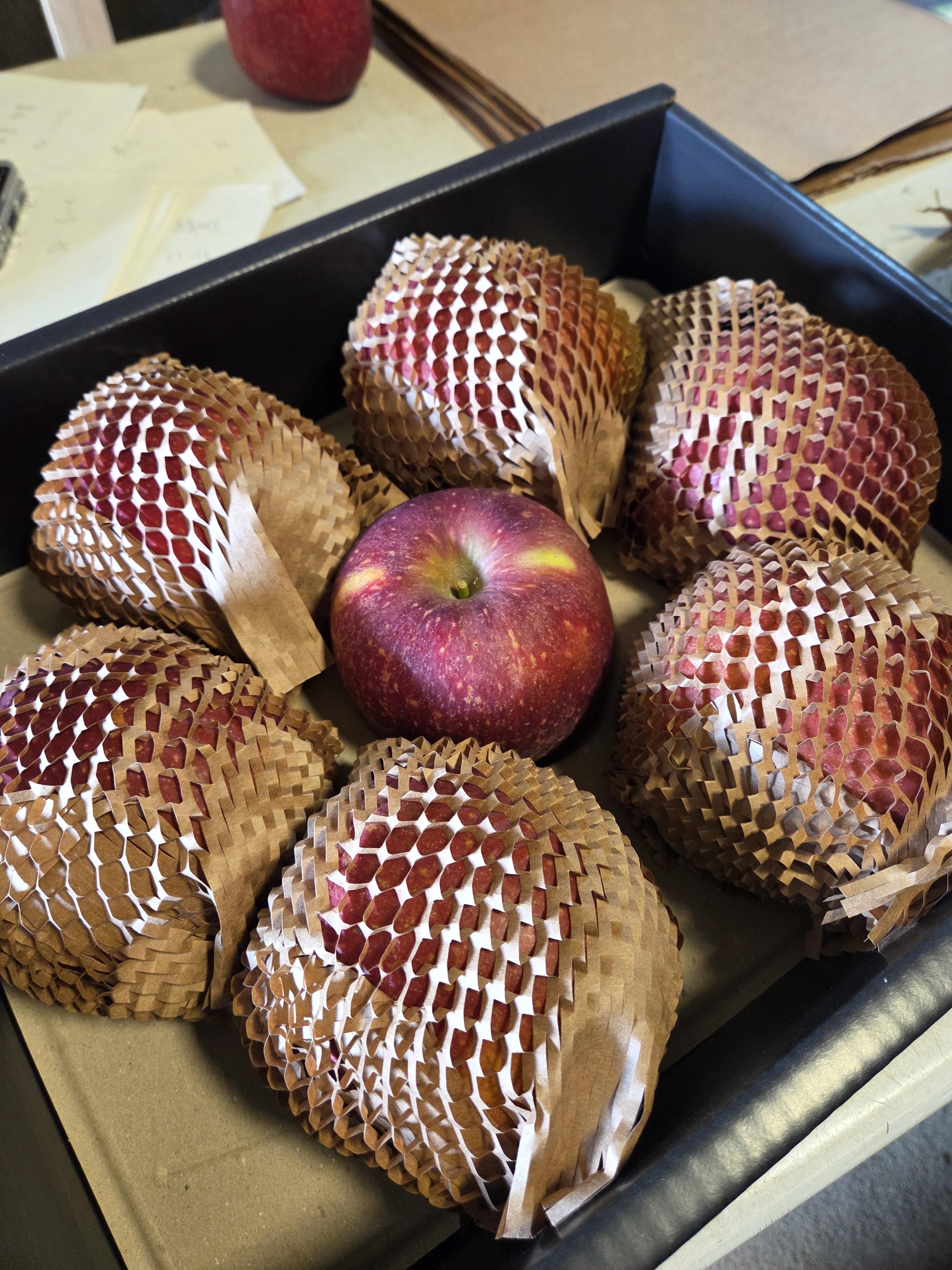 우주농원 감홍 이지플 경북 봉화 청송 문경 고당도 햇 꿀 사과