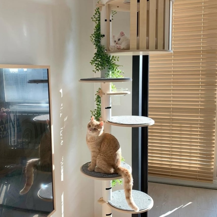 캣돌 고양이 파스텔 스틸 화이트 먼치킨 원목 캣폴 캣타워