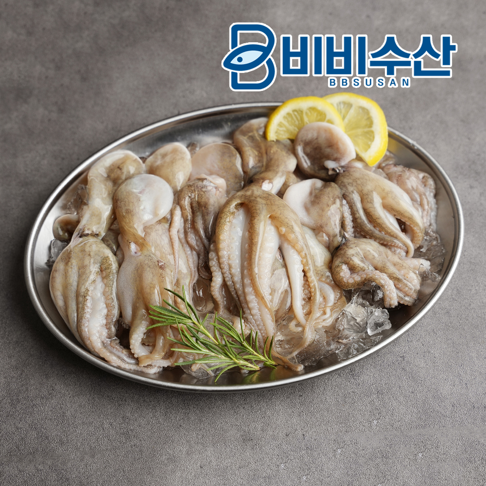 비비수산 살아있을때 얼린 주꾸미 500g - 상품 이미지