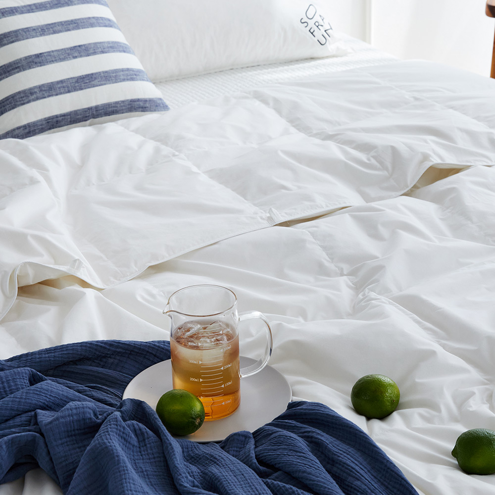 소프라움 앤 사르르 폴란드80 프라우덴 구스다운 간절기 이불솜