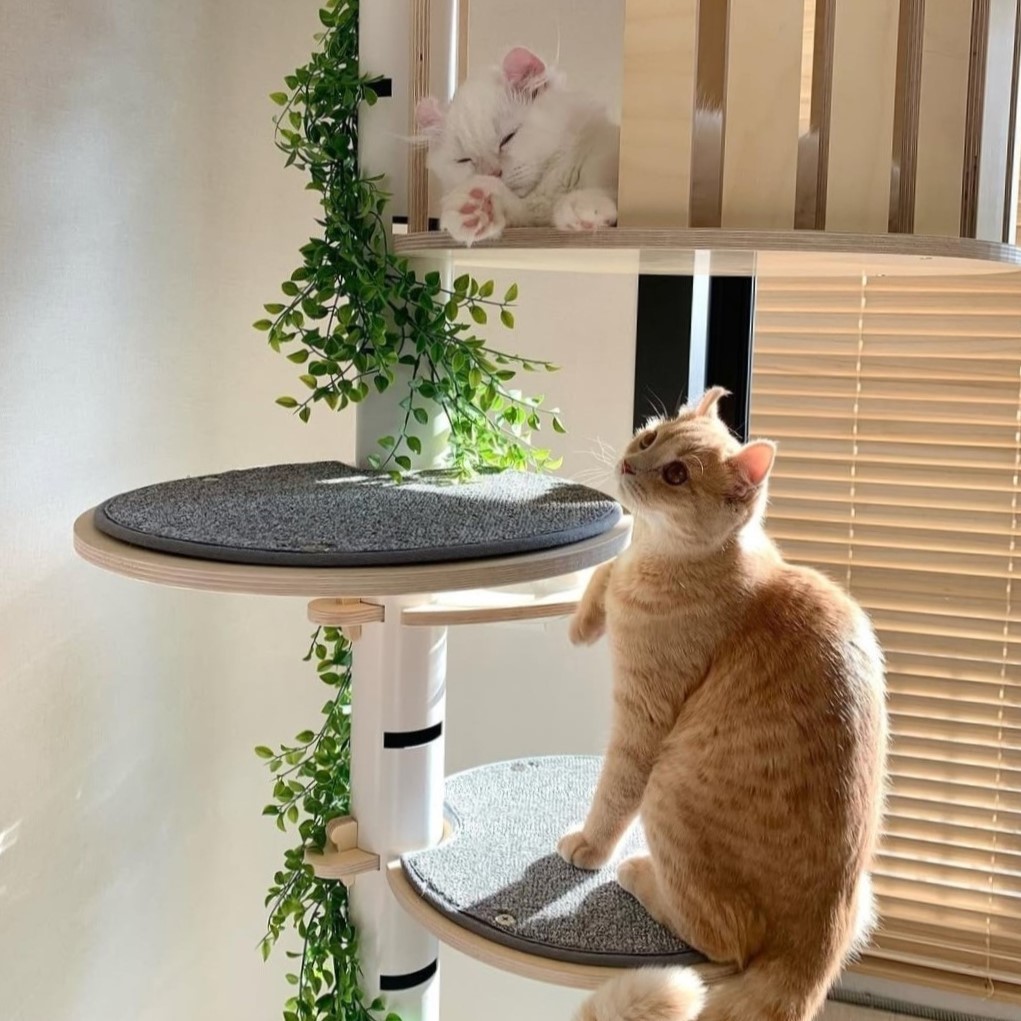 캣돌 고양이 파스텔 스틸 화이트 먼치킨 원목 캣폴 캣타워