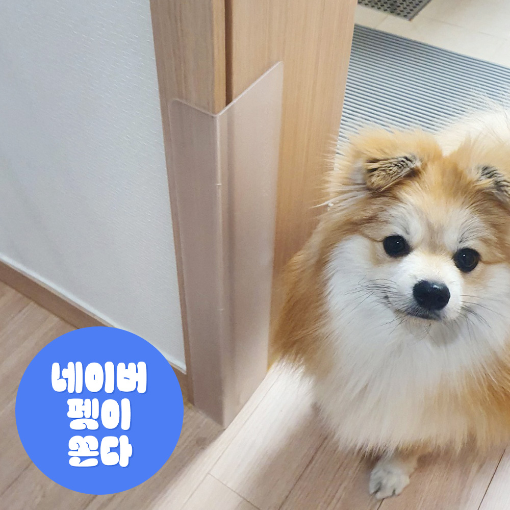 요기펫 강아지이갈이 고양이스크래치 방지 몰딩보호대 요기 프로텍터 4개 1세트 - 상품 이미지