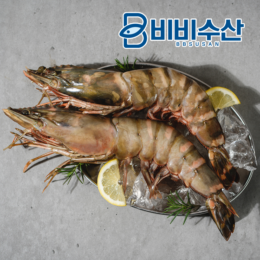 자연산 블랙타이거새우 2미 킹타이거새우 캠핑용 왕새우 - 상세 이미지 4