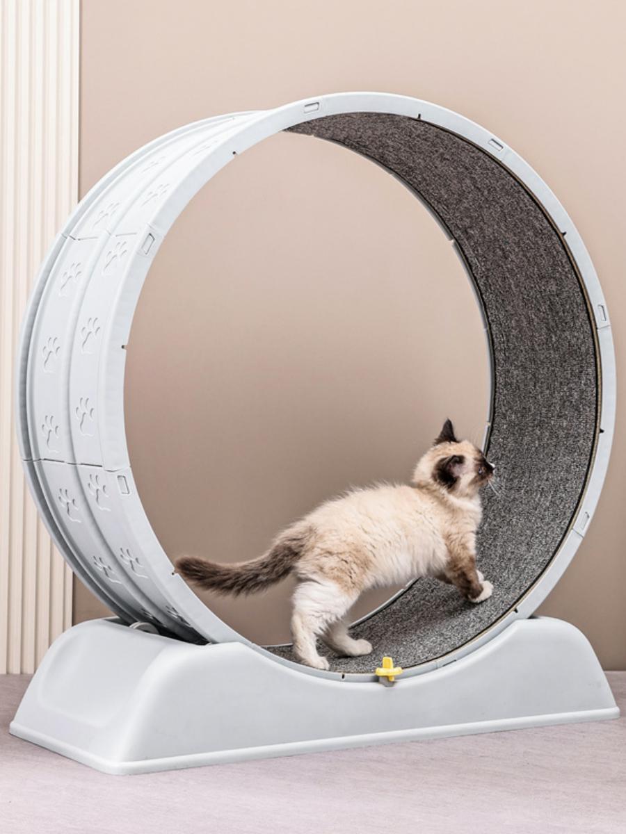 고양이 무소음 런닝머신 스크래처 운동기구 놀이용 그레이