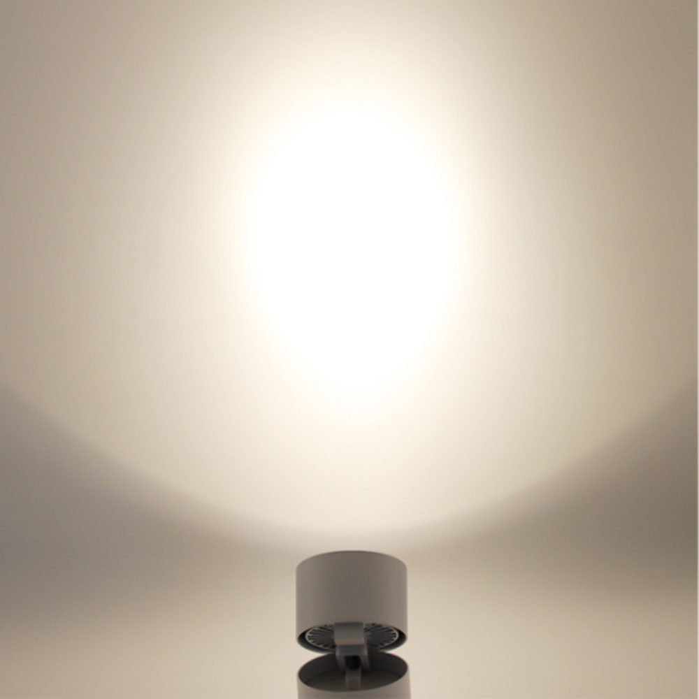 원형직부등 LED 복도 거실 현관 발코니 베란다 직부등 10W, 블랙(소) - 상세 이미지 5