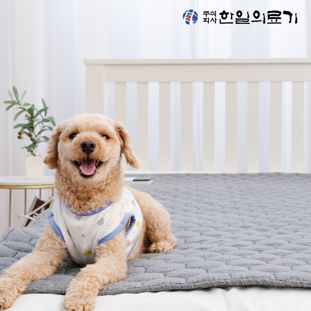 한일의료기 탄소매트 전기매트 온열매트 전자파없는 전기장판 캠핑 침대 1인용 싱글 프리즘