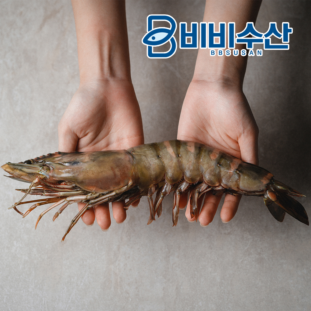 자연산 블랙타이거새우 2미 킹타이거새우 캠핑용 왕새우 - 상세 이미지 2